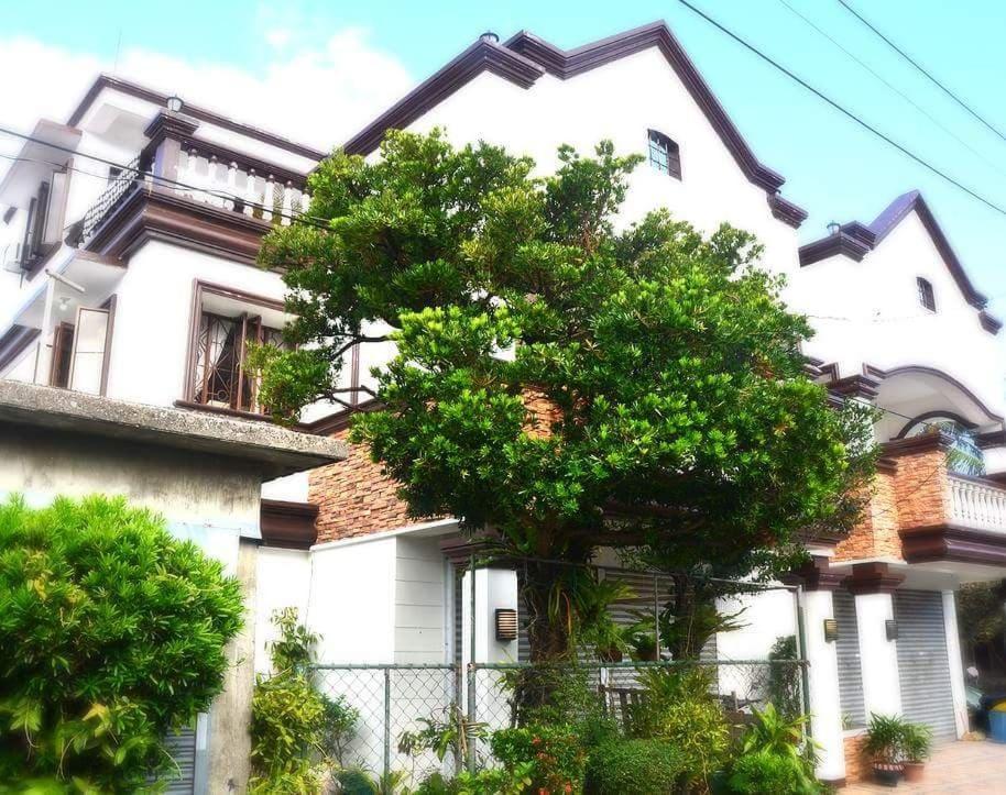 Florabells Iraya Guest House - Batanes バスコ エクステリア 写真