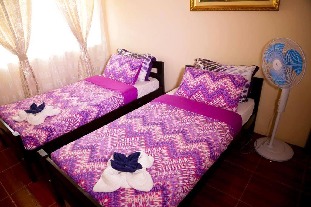 Florabells Iraya Guest House - Batanes バスコ エクステリア 写真